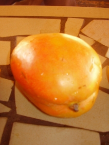 La mangue typique